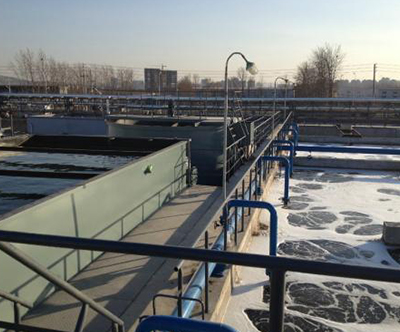 Ҭ������̿