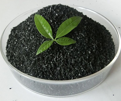 ��������̿