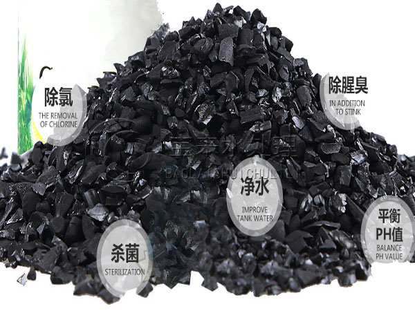 Ҭ������̿�S���������Ă����Ӻ�